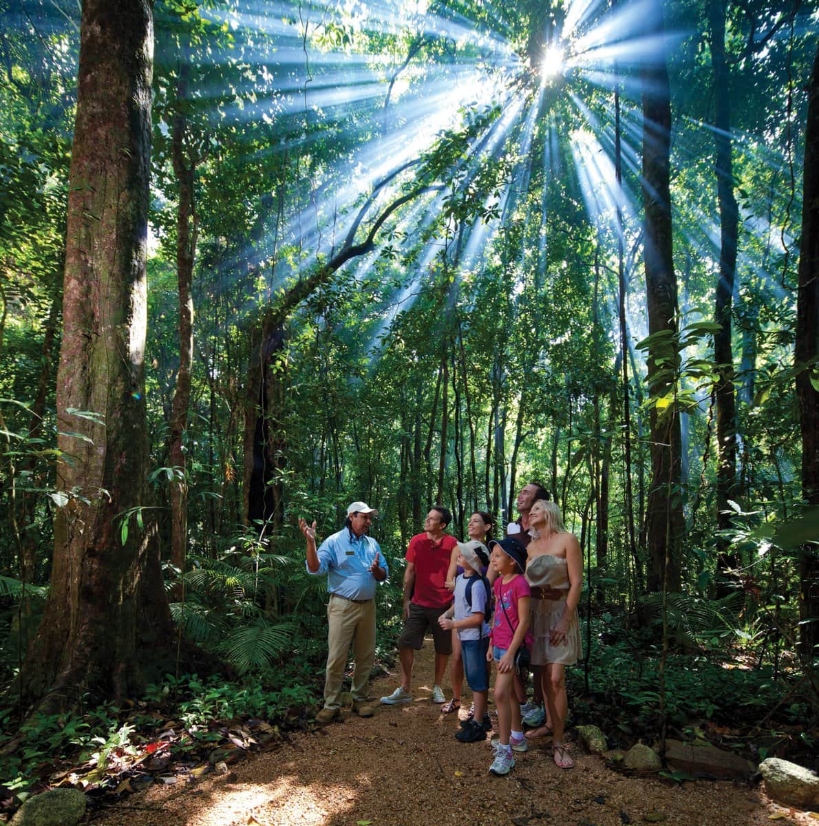 Daintree Rainforest