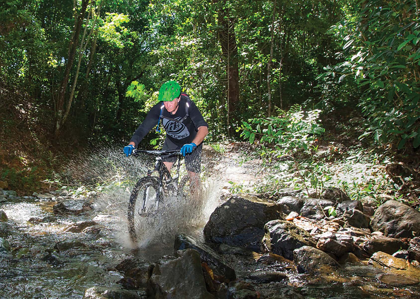 Daintree Rainforest
