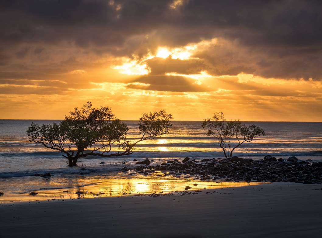 Daintree Rainforest