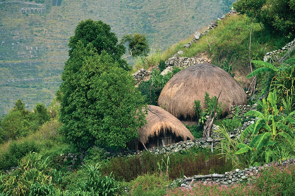 Papua New Guinea